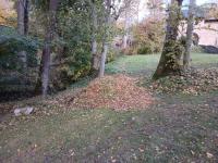 20251018_134035 (1024x768).jpg